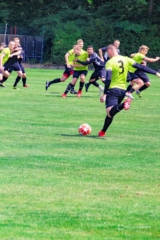 Nielba 12