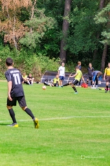 Nielba 3