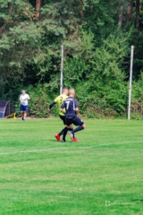Nielba 4