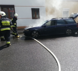 plonace samochody (3)