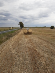 01 ciuchcia panigródz (19)