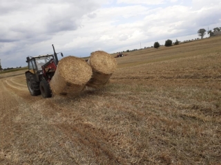 02 ciuchcia panigródz (8)