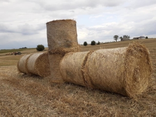 03 ciuchcia panigródz (17)