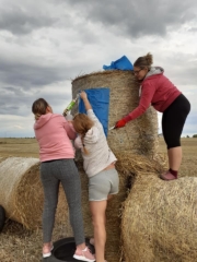 04 ciuchcia panigródz (20)