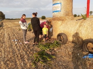 10ciuchcia panigródz (16)