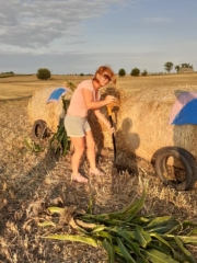 11 ciuchcia panigródz (7)