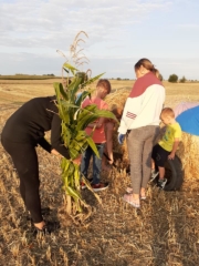 12 ciuchcia panigródz (2)