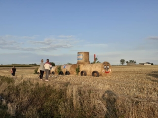 16 ciuchcia panigródz (3)