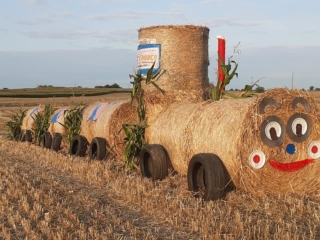 19 ciuchcia panigródz (9)