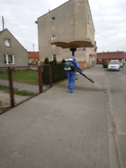 Golancz dezynfekcja (6)