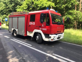 wyp1