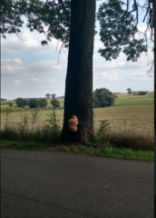 grzyby14