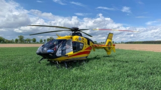 wyp8