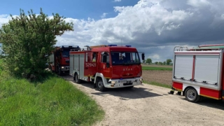 wyp9
