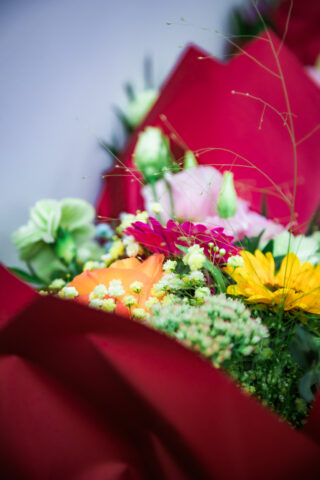 550163365_1436357098009249_4087852258922909760_n