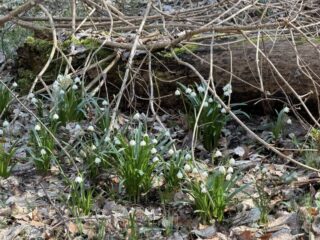 654360608_1525392199586764_3771181820913183306_n