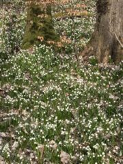 654477095_1525391689586815_598366959162902492_n (1)