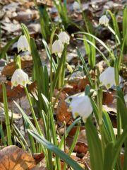 654963358_1525391329586851_2914647637621617356_n