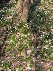 656208090_1529310609194923_3468932595344124625_n