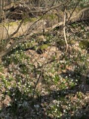 656899141_1529310625861588_2944562735744050381_n