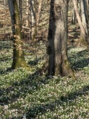 657345403_1525391879586796_3460946638549808537_n