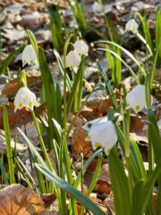 658182026_1529310659194918_1132310855372338449_n