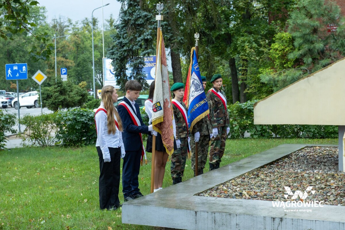 Zdjęcie galerii
