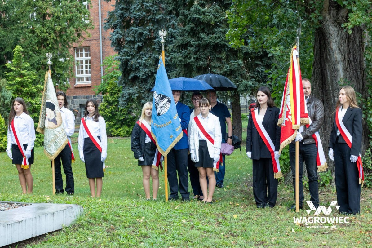 Zdjęcie galerii