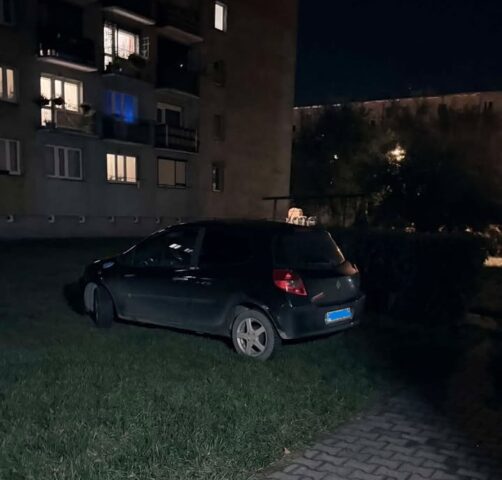miszcz
