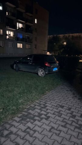miszcz1