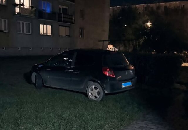 miszcz2